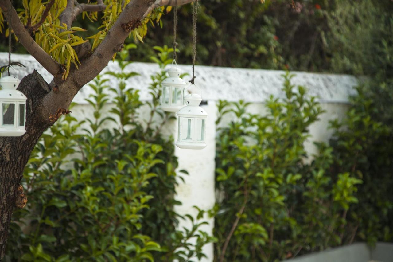 Villa Adelaide Suite & Room Торе а Маре Екстериор снимка